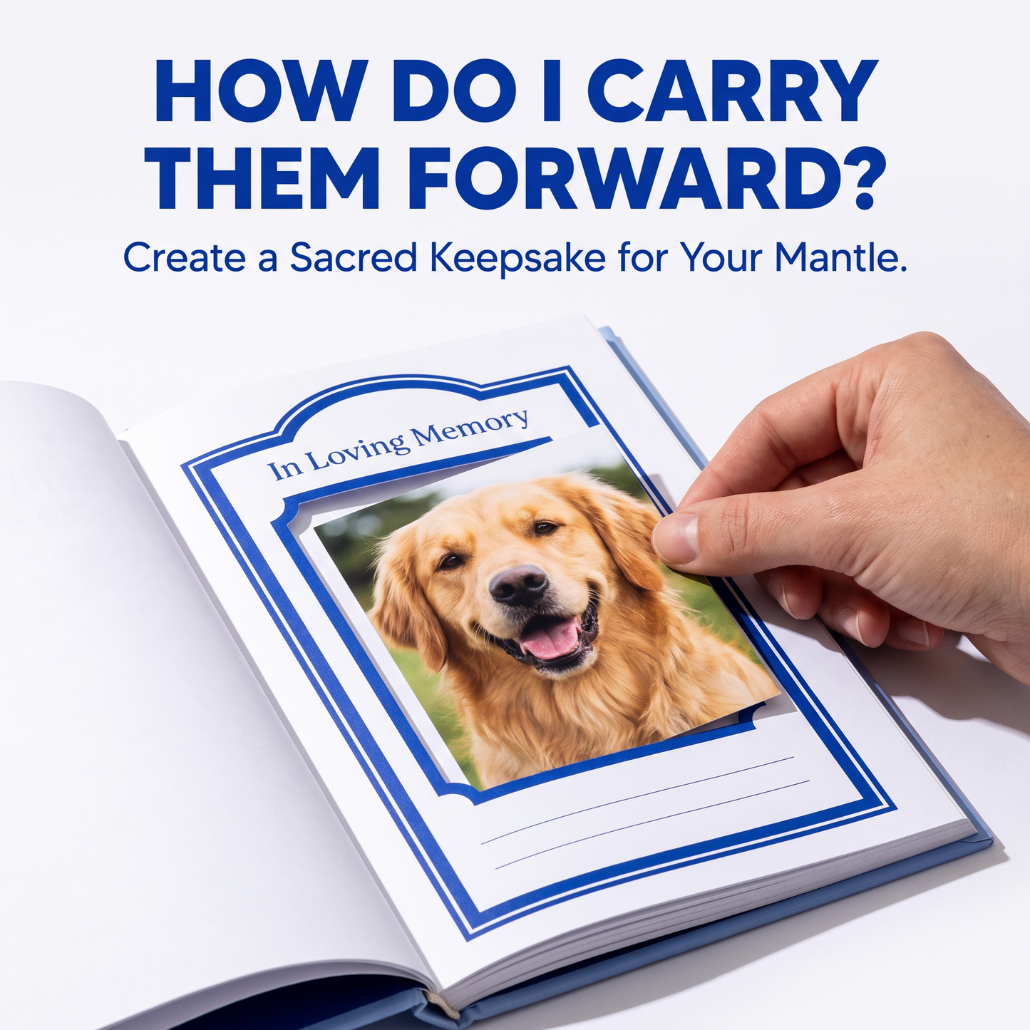 The Dog Grief Guide: A Healing Guide for Navigating the Heartbreak of Loss